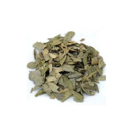 Boldo feuilles 100 g