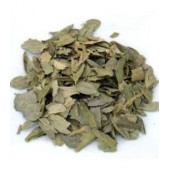 Boldo feuilles 100 g