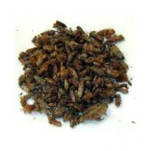 Bourgeons de pin 100 g