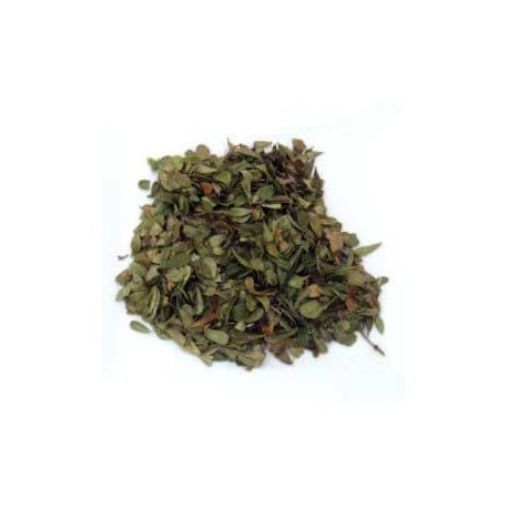 Busserole feuilles 100 g