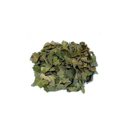 Eucalyptus feuilles 100 g