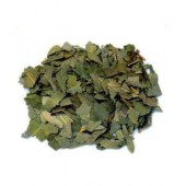 Eucalyptus feuilles 100 g