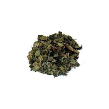 Lierre grimpant feuilles 100 g