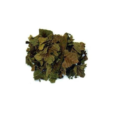 Noyer feuilles 100 g