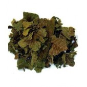 Noyer feuilles 100 g