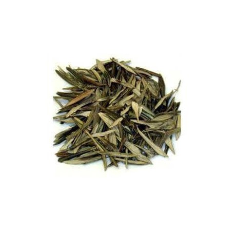 Olivier feuilles 100 g