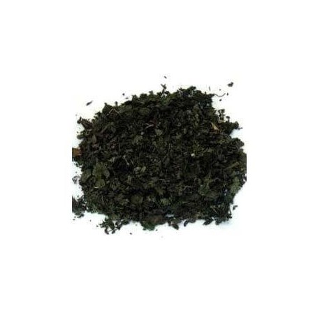 Ortie piquante feuilles 100 g