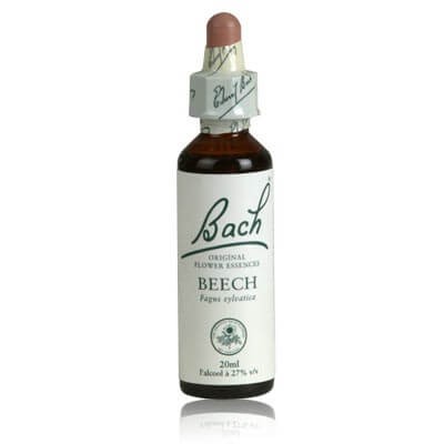 Beech (Hêtre) Fleur de Bach 03