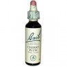 Cherry Plum (Prunus) Fleur de Bach 06
