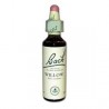Willow (Saule) Fleur de Bach 38