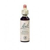 White Chestnut (Marronnier blanc) Fleur de Bach 35