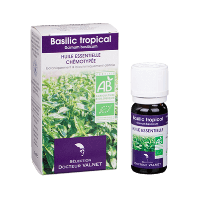 Basilic tropical 10ml