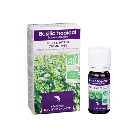 Basilic tropical 10ml