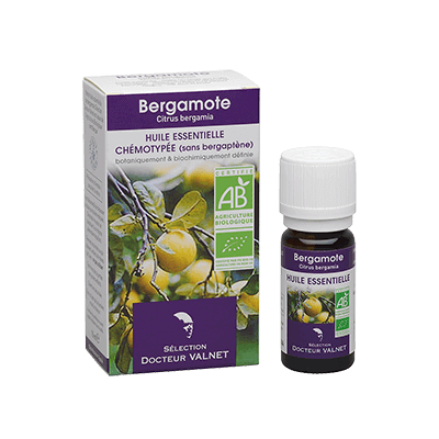 Bergamote