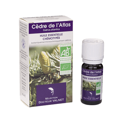 Cèdre de l'atlas 10ml