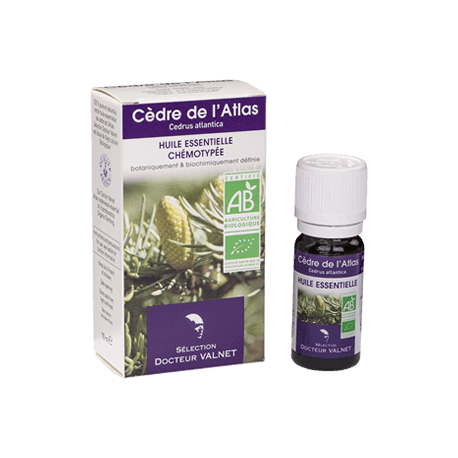 Cèdre de l'atlas 10ml