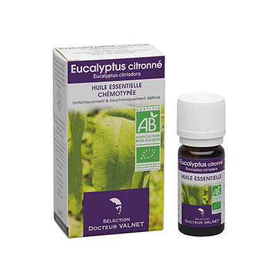 Eucalyptus citronné 10ml