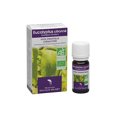 Eucalyptus citronné 10ml