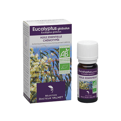 Eucalyptus globulus 10ml