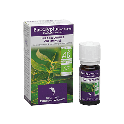 Eucalyptus radiata 10ml