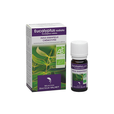 Eucalyptus radiata 10ml