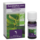 Eucalyptus radiata 10ml