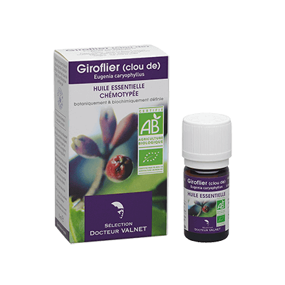 Clou de giroglier 5ml