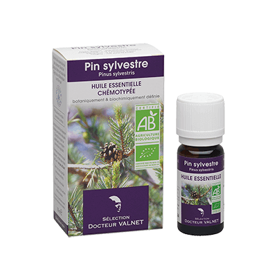 Pin sylvestre 10ml