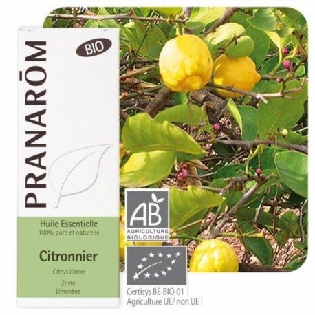 Citronnier BIO 10ml