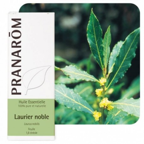 Laurier noble 5ml