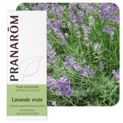 Lavande vraie bio 10ml