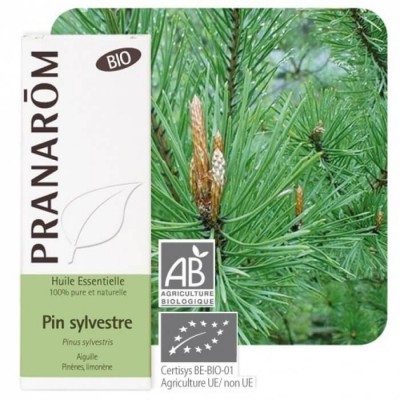 Pin sylvestre 10ml