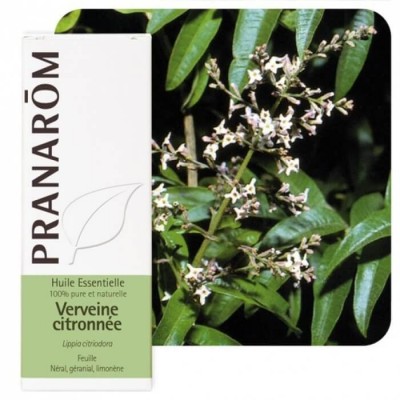 Verveine citronnée 5ml