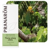 Ylang ylang