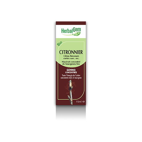 Citronnier Jeunes Pousses 50ml