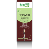 Citronnier Jeunes Pousses 50ml