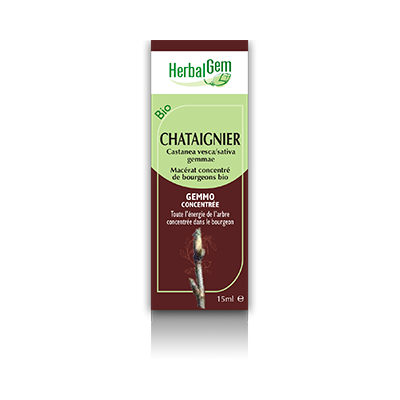 Chataignier - herbalgem