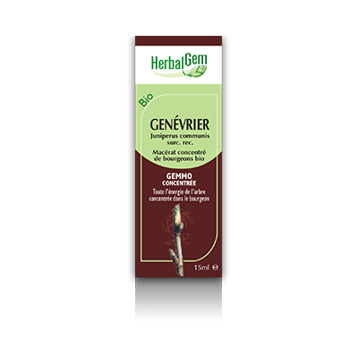 Genévrier herbalgem