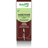 Marronnier herbalgem