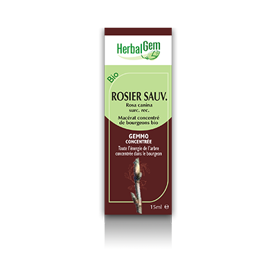 Rosier sauvage herbalgem