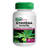 Gymnema sylvestre Nature's Plus