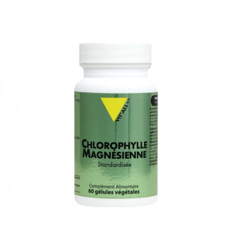 Chlorophylle Magnésienne 60 gel