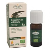 Huile essentielle Eucalyptus citronné BIO 10 ml