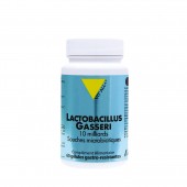 Lactobacillus Gasseri 100mg 60 DRcaps