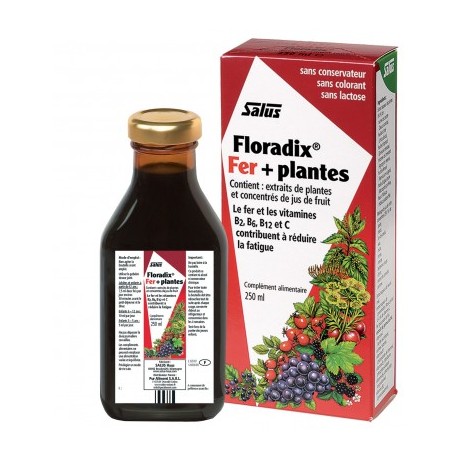 Floradix 250ml