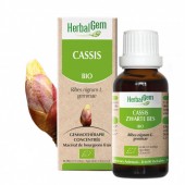 Cassis bourgeons Bio - 30ml