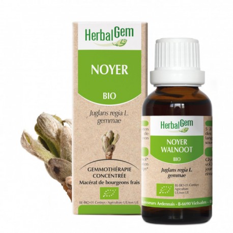 Noyer Bourgeons 30ml