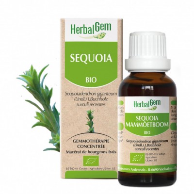 Séquoia Bourgeons Bio - 30ml