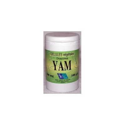 Yam