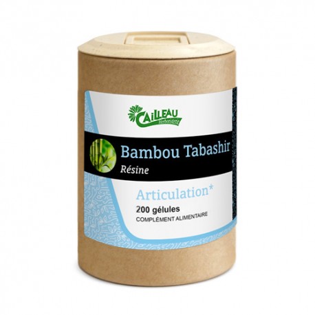 bambou tabashir